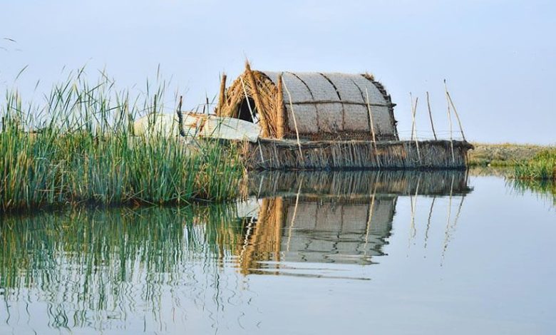 625112020 155612722657052900