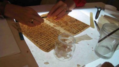 626122020 552187 323849731040675 182054650 n