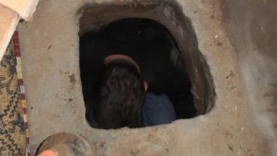 705E4300 D230 4BAC 9A6F F76AC3582E92