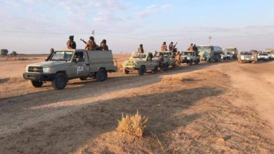 72D75C7A 199D 4431 A990 6D8E3E4185C9