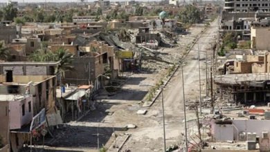 76662BD7 ABB9 4D77 8247 BCDF38F955D6