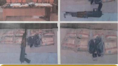 7DC41566 D43D 4DAE 80D1 A821E533EE31