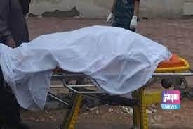 801D4E6E A1E9 44C5 B31C 359EEE978C44