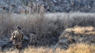 86A0203E FE9D 41B9 A50C 3D419CD2A969