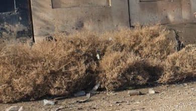 91212202070f70c71 0745 47ae 9877 3c88f70dce79