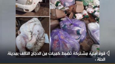 94CBD33F F657 4AF7 B5D0 C912196E7B76