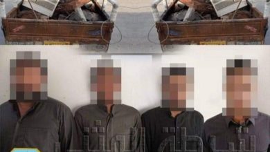 974470D9 E680 4DDD 9B6E 0527AA2303D2