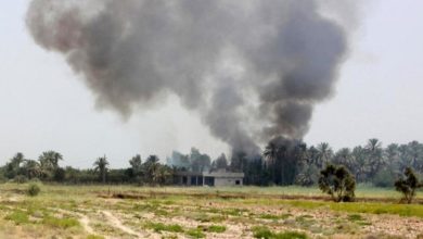 9A9BCCE2 F89A 4F55 AA46 8CA7F8CBC055