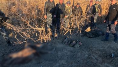 AB5ECEEE 6F88 4DB0 9E69 8F7BADA2DDD6