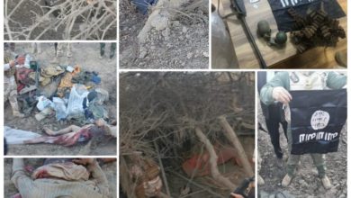 BE2D497E 4121 45CE B3D3 03BEE9F0A9EF