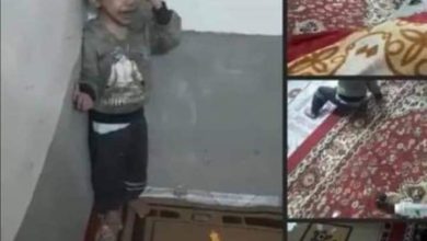 C5DF6C53 8F0E 4B14 A398 BB2964F07862