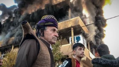 C77752B3 8131 4627 9BAC 5AFD1BC32B0A