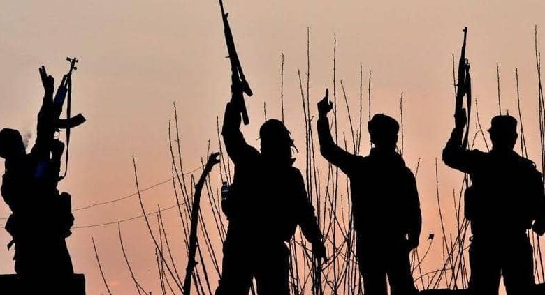 EF3315E5 FEB0 4D54 86DB 5204702FEC02