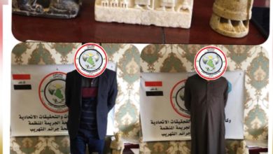 FBDFC043 42F1 4DB6 94F4 59CE61C0F16F