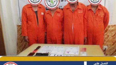 IMG 20201219 134424 138