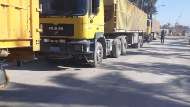 000FFDE1 8C55 4C44 A552 AC0D504A6F7C