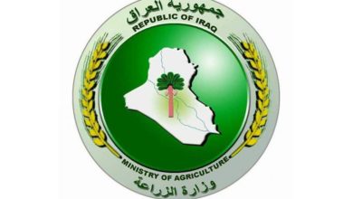 122512021 5E981BE4 742C 4C40 8550 BF2D25D81271