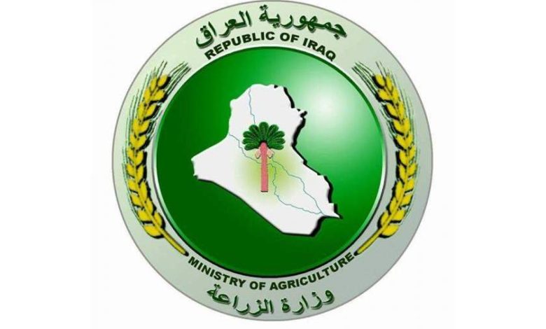 122512021 5E981BE4 742C 4C40 8550 BF2D25D81271