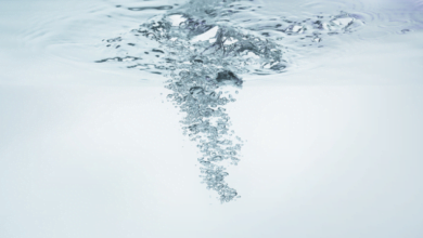 16512021 5ff46aee4c59b77e7f4ee178