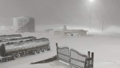 1778C6D0 398A 4C38 A339 0ACE12F77D50