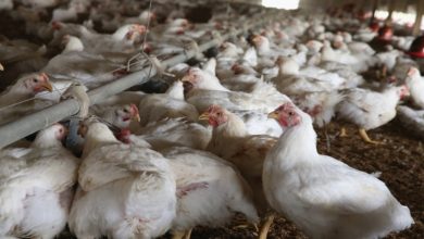 215D5B90 9117 4426 9F29 0F43CCA9B877