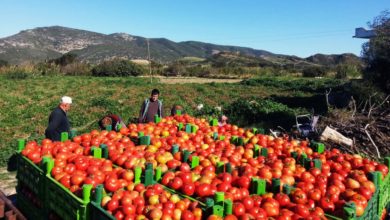 255BF9F7 B9E0 469C 896D 07ED76AAFD36