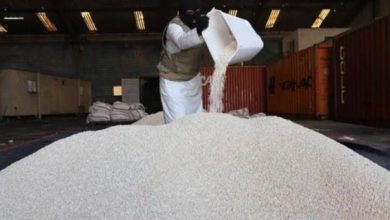 498AD380 73D1 495F 96BC 5DD1FE0ED479