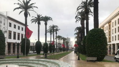 600801264236044a876ada42