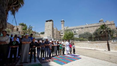 600804a14c59b76dcb23e981