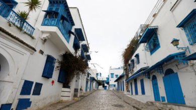 60166c654c59b7065a1fad66