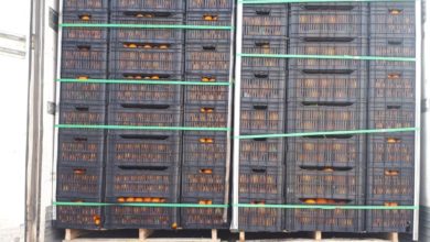 60C9995E 531E 4528 8472 8739EA163FCD