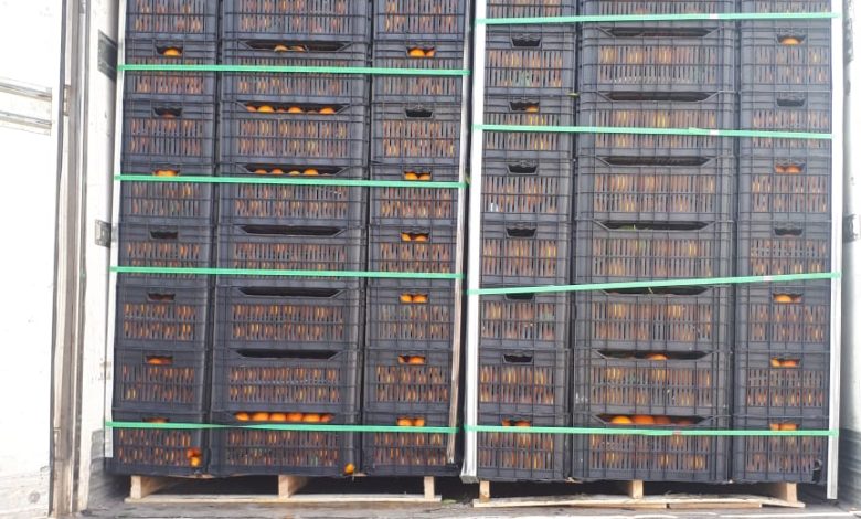 60C9995E 531E 4528 8472 8739EA163FCD