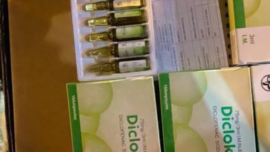 61066E47 B541 4FF2 82D2 993862336C90