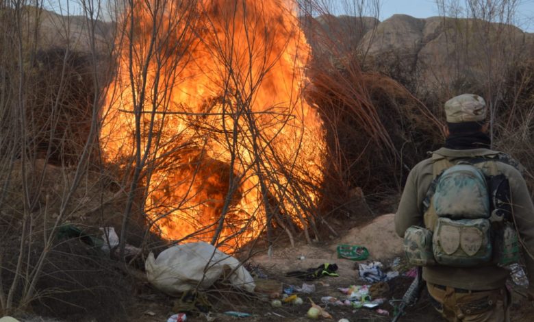 62812021 0802bcb8 fee2 43db a30b 7d4eaf3fbd10