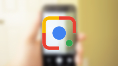 66BAA7BD 42E7 40A1 97EA 16116743BC6E