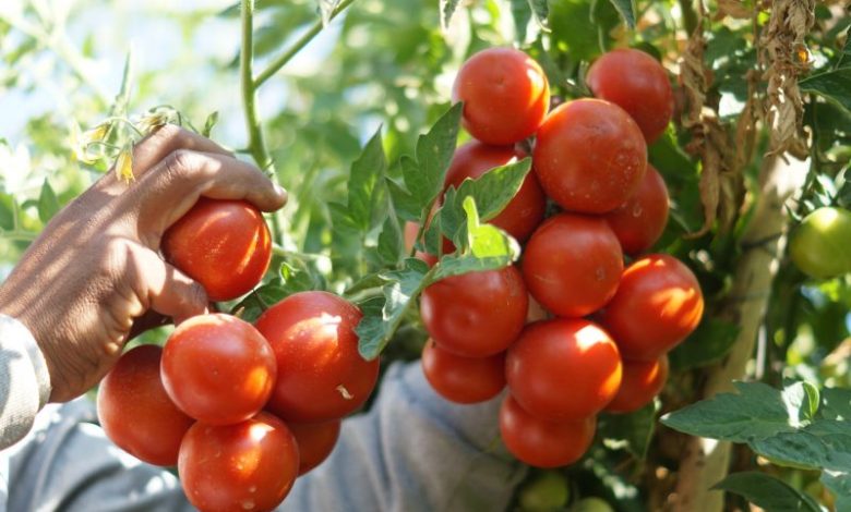 731193C0 2DF0 4613 AC0B A2BE2F3E3A3D