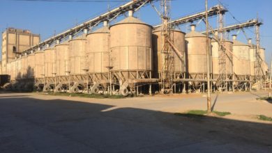 8312021 f95bcc30 aeb7 408f 93d3 21b5e5efb555