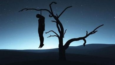 83DF993B 75D0 4C9A A9A4 9C9313E8D38B