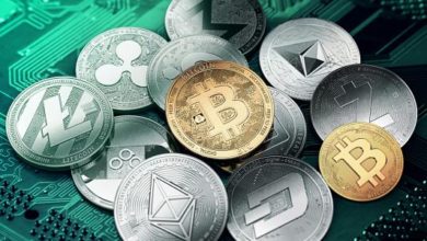 892910E3 B4E6 4705 8DDB 101979244453