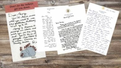 B1E5D9D5 B847 4B1A 88BF 0E71FE2DEB43