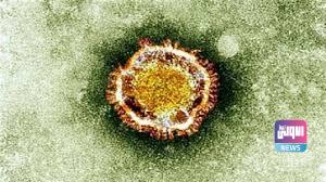 الغارديان تنشر تقريرا خطيرا عن تفشي وباء نيباه الفتاك 1 BF11F6DE 082B 4EB0 906C E4915EAC9389