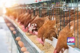 C13AE989 B24E 48F1 8245 0F79ACCAC2EB