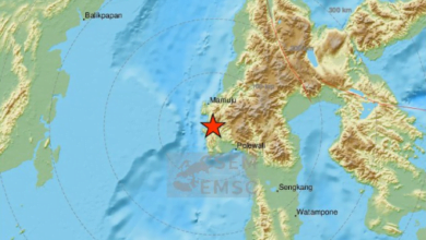 C7BE358A 4863 4BED 84D7 25D19FE39663