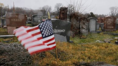 D9543D46 FB69 4581 9B9C 252FB2D90905