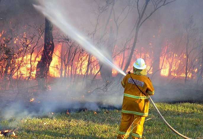 DDDE2635 4FC3 4075 A02E B553FE744F01