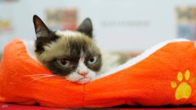 DFF0753F 9619 4DFE 8F36 593AF087702F