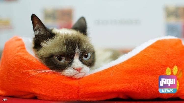 DFF0753F 9619 4DFE 8F36 593AF087702F