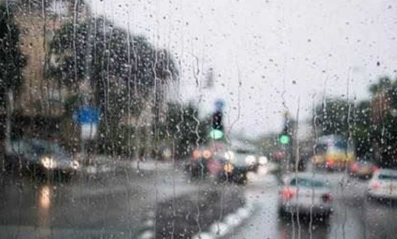 E446C2E2 036A 460C AEFC 70664903DB02