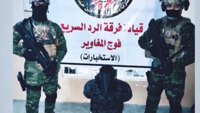 ECE92781 9644 4931 8333 89B5119956F5