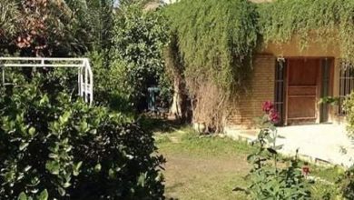 FB IMG 1610703353109